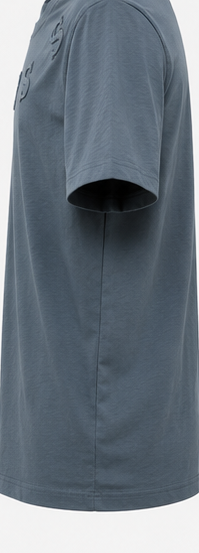 GUESS blue-grayMen's T-Shirt – Style 053
