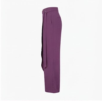 Hobz Pants 30123- Purple